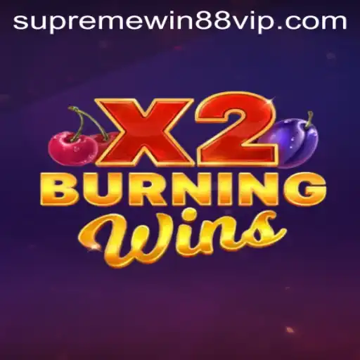 Exploration of BurningWinsX2 and Supreme Win 88